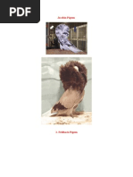 Download Jacobin Pigeon by Ayi Taufik H SN115954613 doc pdf