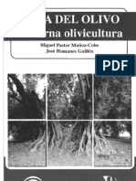 Poda Del Olivo Moderna Olivicultura 5x Edicixn BAJA