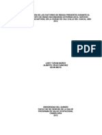 Determinación de Los Factores de Riesgo Presentes Durante El Mantenimiento de Redes Secundarias Externas en El Servicio Publico de Gas Natural en La Ciudad de Cali (Valle Del Cauca), Año 2012