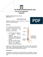 Fractura de Colles