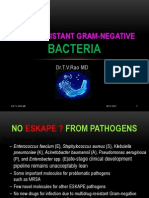 Drug Resistant Gram-Negative Bacteria
