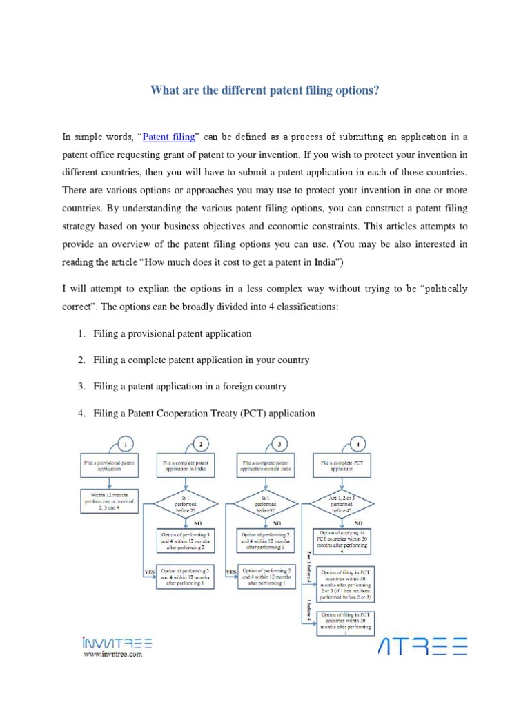 Patent Filing Options Explained | PDF