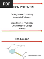 Action Potential: DR Raghuveer Choudhary Associate Professor