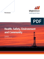 Petroleum HSEC Controls