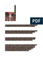 Download macam-macam jamur by Bagus Setiawan SN116067279 doc pdf