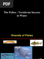 Tilapia Anatomy and Dissection Insights | PDF | Gill | Fish