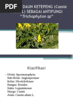 Download Khasiat Daun Ketepeng Cassia Alata l by Anas Nurdianto R SN116091026 doc pdf