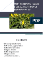 Khasiat Daun Ketepeng (Cassia Alata L)