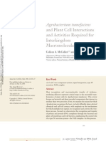 Agrobacterium Tumefaciens: and Plant Cell Interactions and Activities Required For Interkingdom Macromolecular Transfer