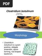 Download Clostridium Botulinum by joevani_007 SN116101200 doc pdf