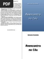 Reencontro No Ceu