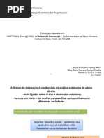 Apresentação Dina e Carla - Goffman