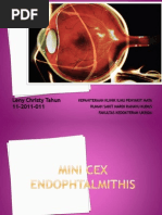 Download Leny Laporan Mini Cex PPT Endophtalmitis by Christy Leny Tahun SN116119874 doc pdf