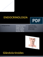 Endocrinología MN