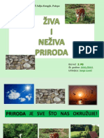 Živa I Neživa Priroda