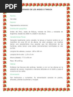 Download El Vanado de Los Andes o Taruca by Heidi Hitta SN116178927 doc pdf