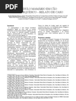 R0233-3