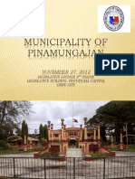 Municipality of Pinamungajan