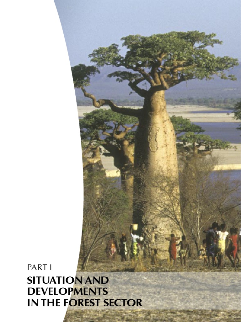 Ituation AND Developments IN THE Forest Sector | PDF | Forests | Clean ...