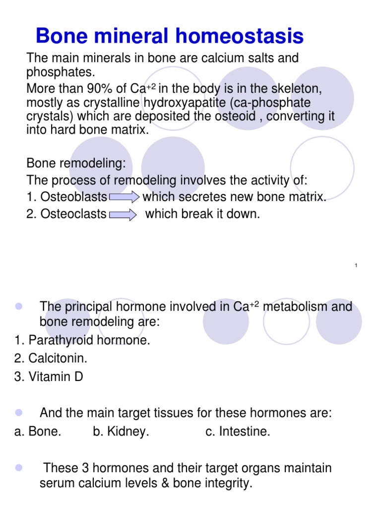 Bone Mineral Homeostasis and Hormones | PDF | Vitamin D | Bone