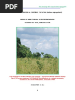 Download Plan de Manejo de La Codorniz Yucateca Colinus nigrogularis by Genaro Octavio Can Ortiz SN116259736 doc pdf