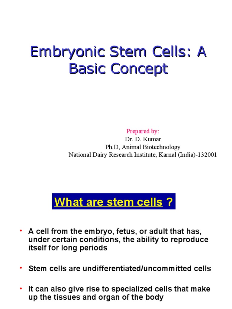 Understanding Embryonic Stem Cells | PDF | Stem Cell | Cell Potency