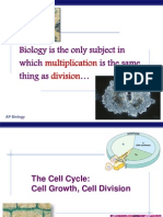 Lecture on Mitosis