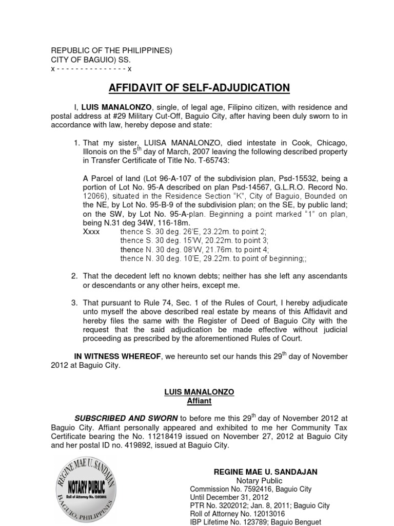 02 Aff of Self Adjudication PDF