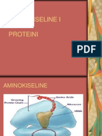 4 Amino Kise Line Protein i