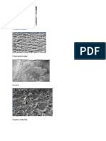 Poli Carbonate