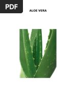 Download ALOE VERA by Yanet SN11640562 doc pdf