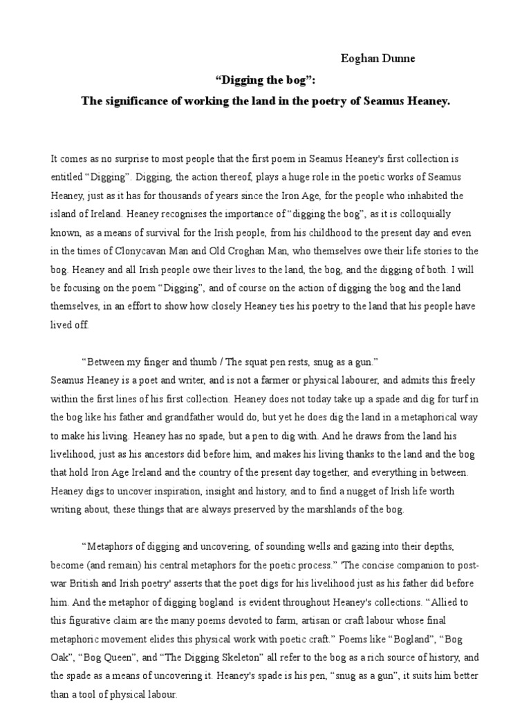 The Bog and Seamus Heaney PDF Ireland Poetry