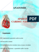 Anatomia Aparatului Cardio-Vascular
