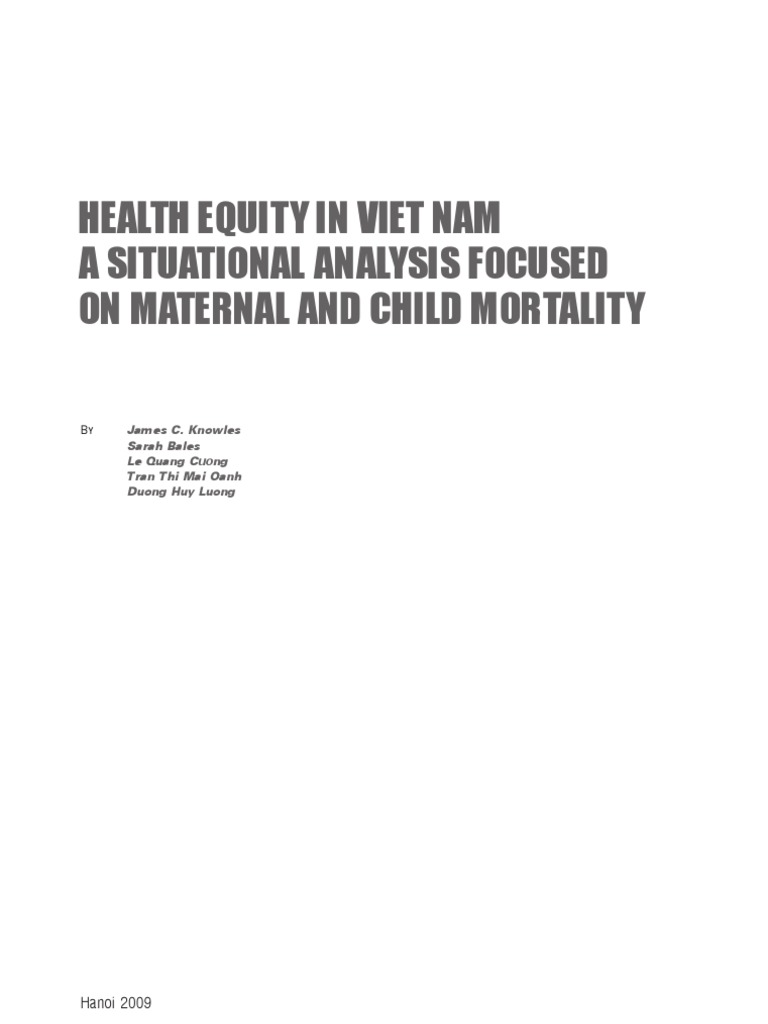 Health Equity: Maternal & Child Mortality in Vietnam | PDF | Economic ...