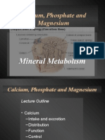 Calcium, Phosphate and Magnesium