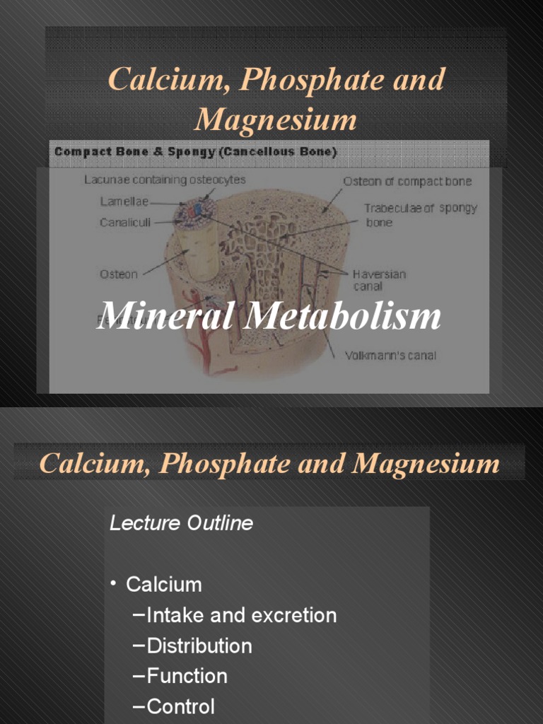 Calcium, Phosphate and Magnesium Calcium In Biology Chemistry