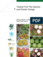Phenological Responses To Temperature and Rainfall: A Case Study of Mango