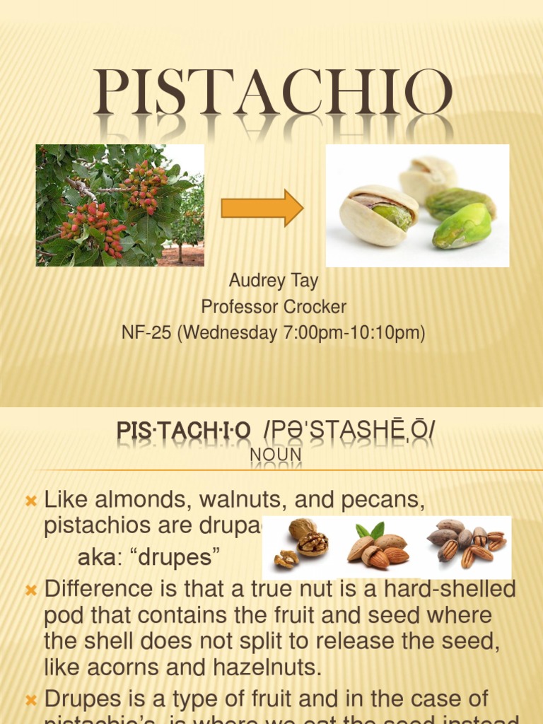 Understanding Pistachios: A Drupe Overview | PDF | Nut (Fruit ...