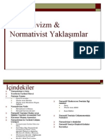 Normativizm & Normativist Yaklasimlar