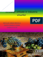 Ambalaje Utilizate in Industria Vinurilor