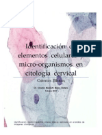 IDENTIFICACION-DE-ELEMENTOS-CELULARES-Y-MICRO-ORGANISMOS-EN-CITOLOGIA-