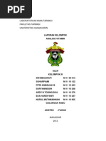 Download laporan vitamin untuk ika merdekawati by Eka Hardiyanti Husain SN116538002 doc pdf