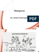 Endangered Mangroove