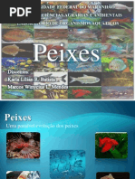 Peixe Trab Meu e Wnycius