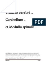 Truncus Cerebri, Cerebellum, Medulla Spinalis