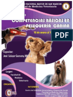 Resumen Final Peluqueria