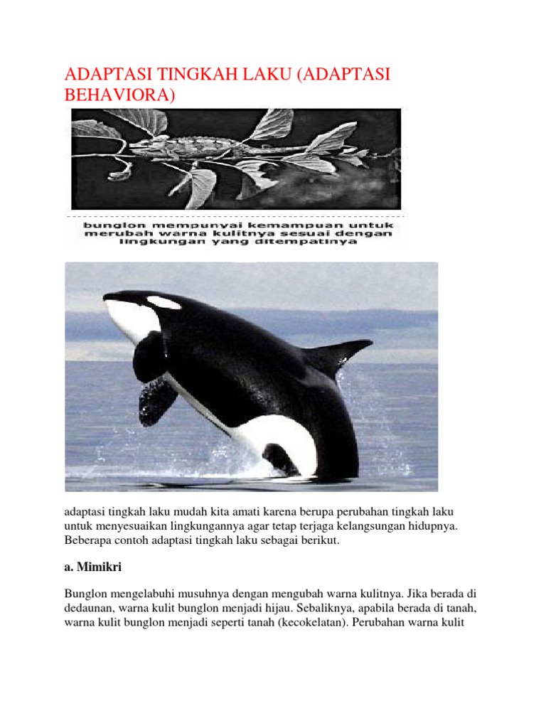 Adaptasi Tingkah Laku