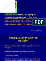 XXXX Mak Silla Prenatal