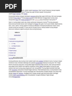 Download Kucing by kykyludfi SN116667874 doc pdf