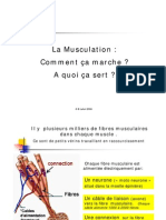2006 Theorie Musculation
